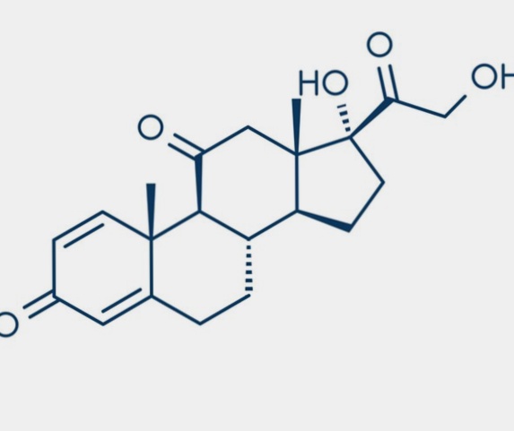 prednisone generico